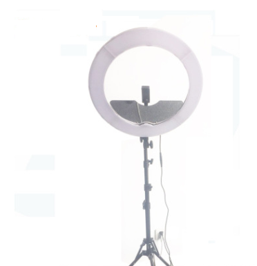 LED Ring Light with Phone Selfie Stand